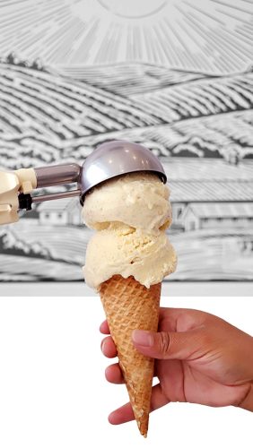 LVDO Helado destello scoop